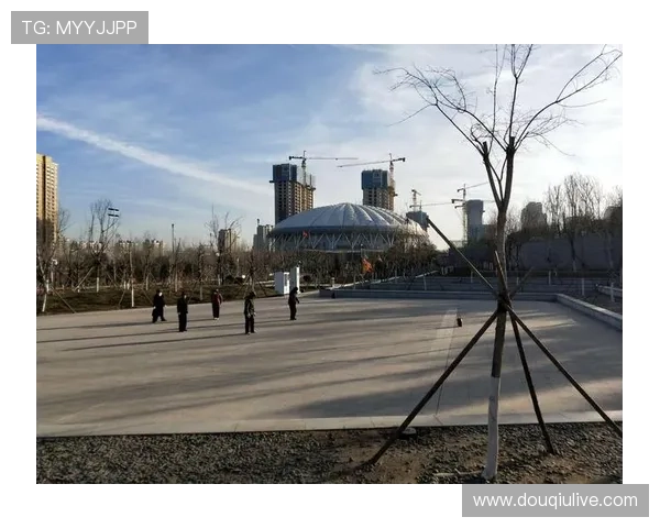 体育仲裁面临“双重天花板”:法律人士需懂体育,体育人士需通法律 体育仲裁面临“双重天花板”:法律人士需懂体育,体育人士需通法律