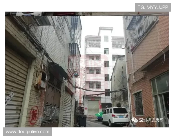 冰雪季将打造全方位一站式服务体系 冰雪季将打造全方位一站式服务体系